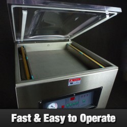 Vacuum Sealer - DZ-500/2